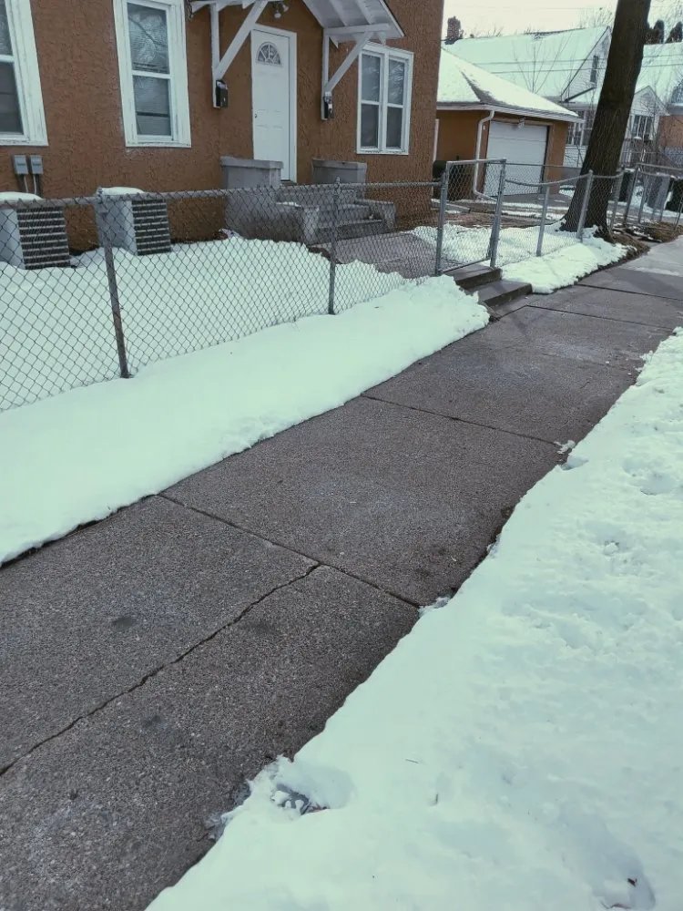 Professional yard cleanup service in Minneapolis, MN by Larkin Lawn Care