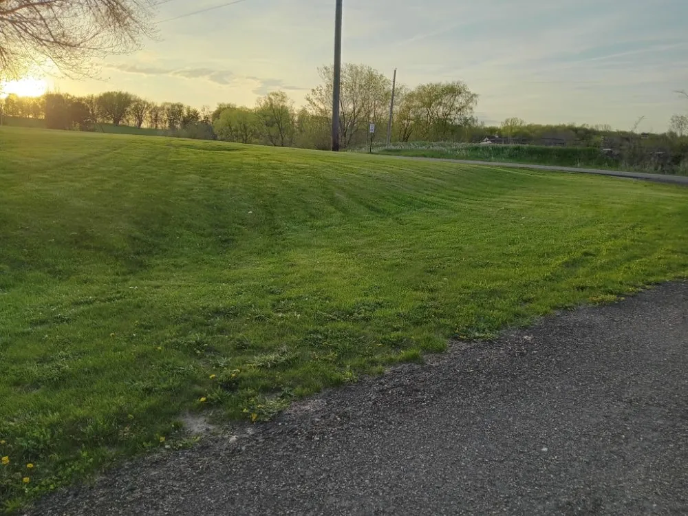 Top-rated lawn mowing service experts serving Minneapolis, MN - Larkin Lawn Care