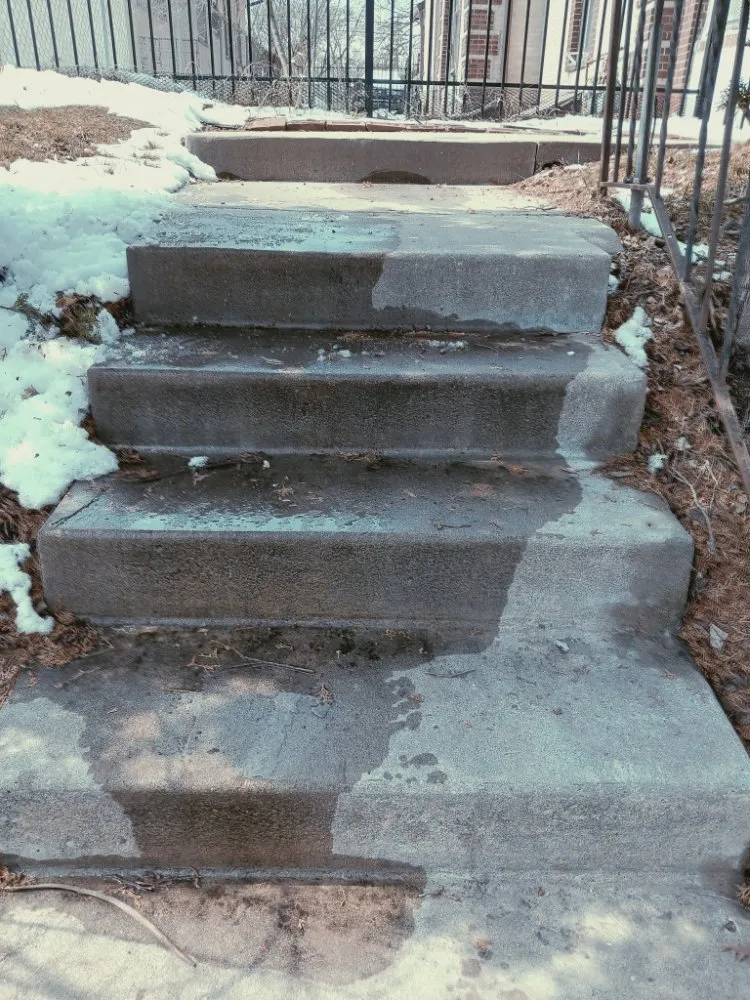 Professional yard cleanup service experts serving Minneapolis, MN - Larkin Lawn Care