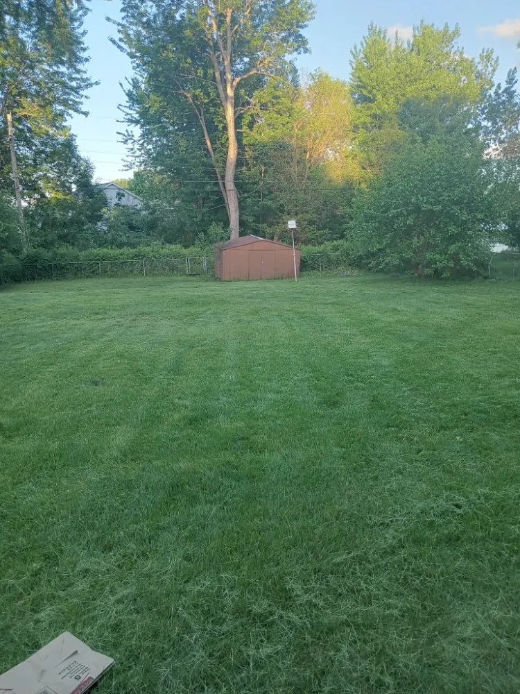 Affordable landscape design experts serving Minneapolis, MN - Larkin Lawn Care