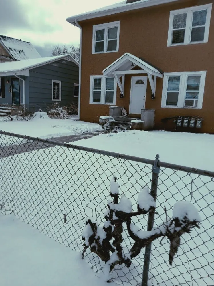 Expert landscape installation for homes across Minneapolis, MN - Larkin Lawn Care