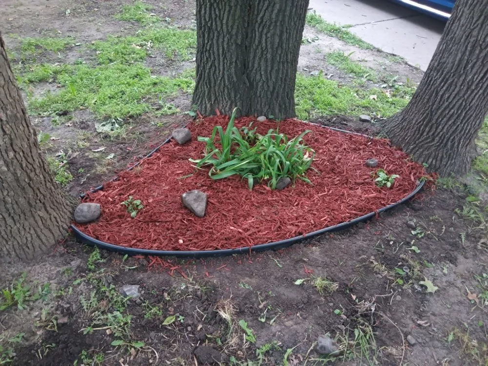 Reliable outdoor landscaping experts serving Minneapolis, MN - Larkin Lawn Care