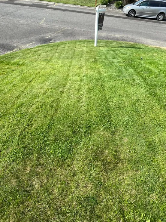 Reliable lawn care service for homes in Clarkston, WA by Larkin Lawn Services