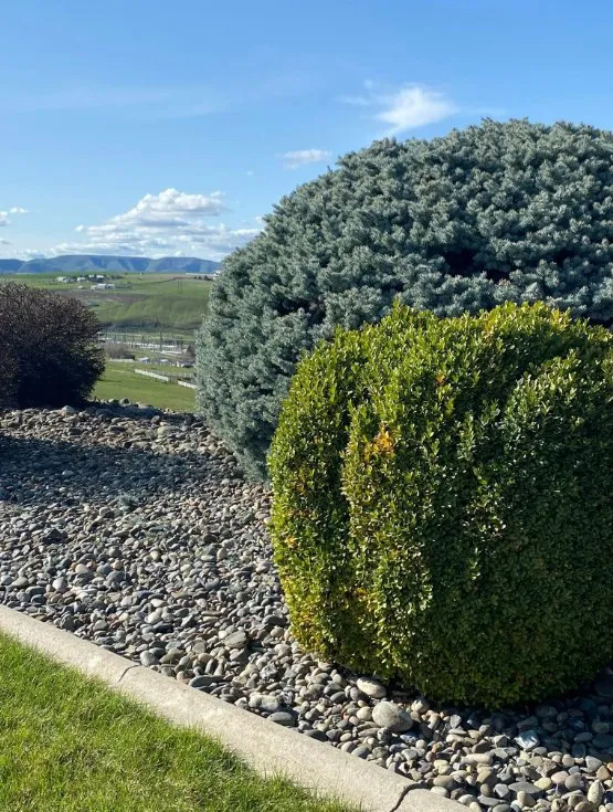 Affordable lawn mowing service in Clarkston, WA by Larkin Lawn Services