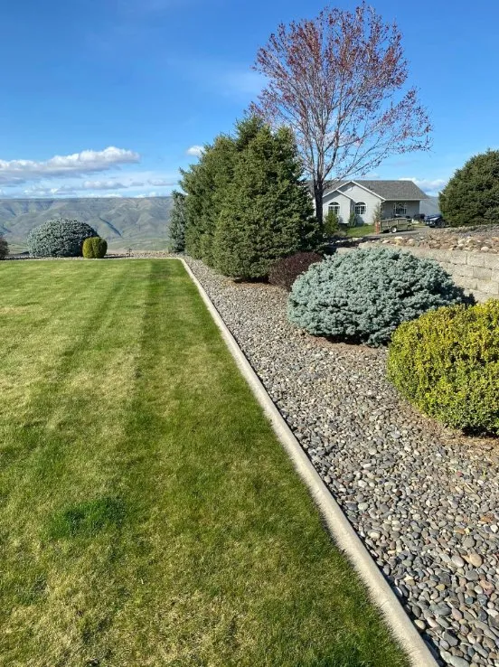 Affordable yard maintenance in Clarkston, WA by Larkin Lawn Services