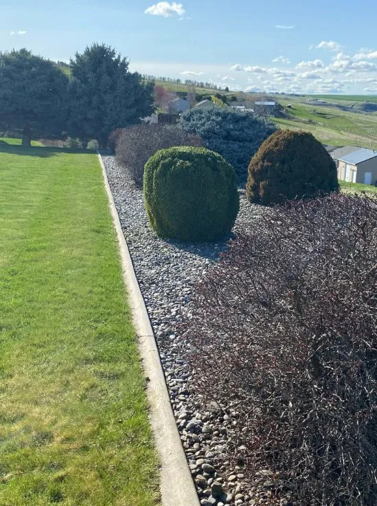 Expert landscape installation in Clarkston, WA - Larkin Lawn Services