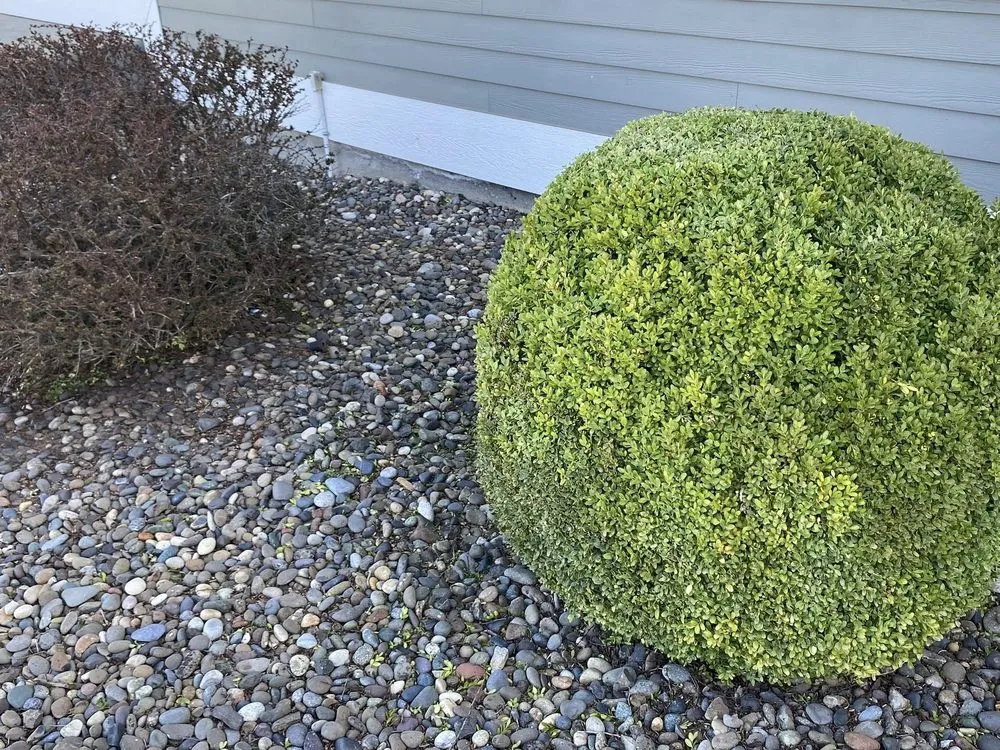 Custom garden landscaping experts serving Clarkston, WA - Larkin Lawn Services