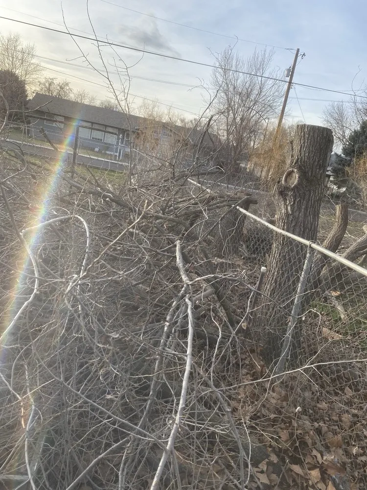 Expert yard cleanup service in Clarkston, WA by Larkin Lawn Services