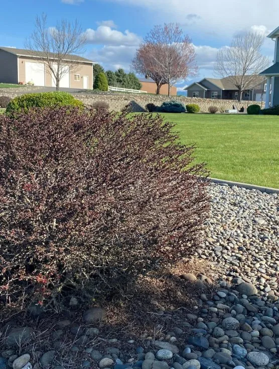 Trusted outdoor landscaping experts serving Clarkston, WA - Larkin Lawn Services