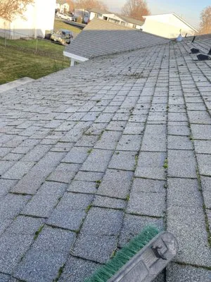 Larkin Lawn Services