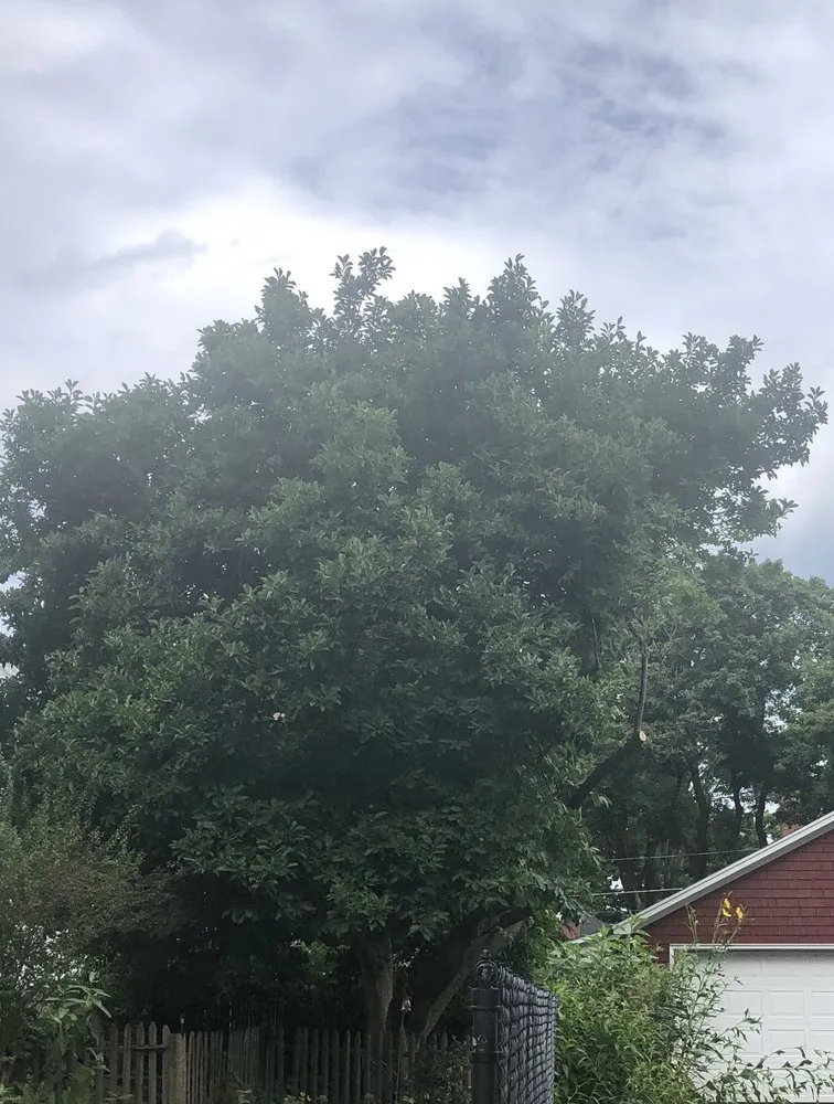 Affordable outdoor landscaping in Easthampton, MA by Larkin Tree Service