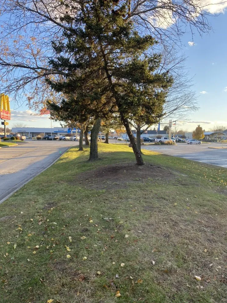 Expert landscape design for homes in Montrose, MI by Larko's Lawn Care & Landscaping