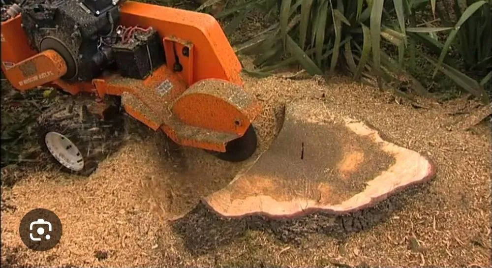 Professional landscape installation for homes in Cross Hill, SC by Lark's Grading and Service