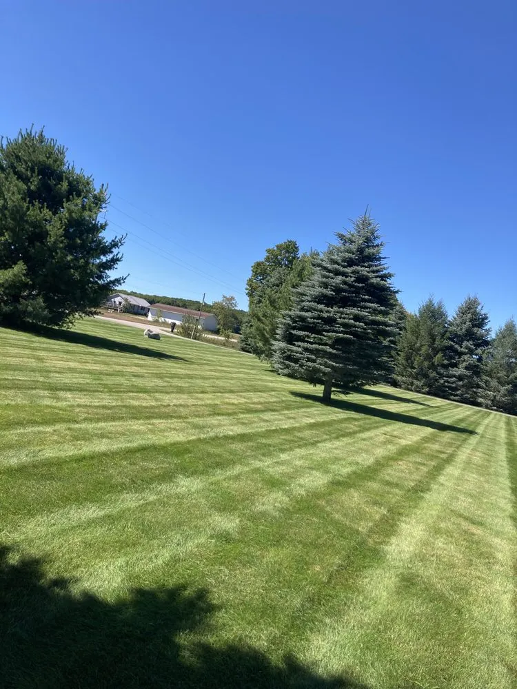 Affordable yard cleanup service in Pellston, MI by Larks Lake Lawn Care