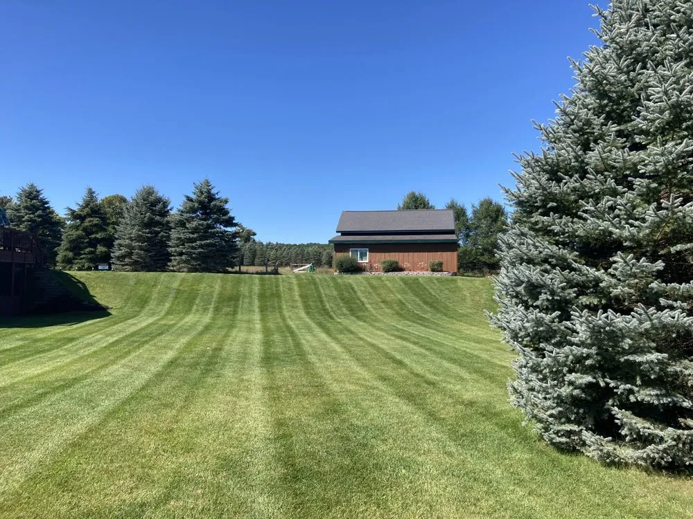 Expert yard cleanup service for beautiful yards in Pellston, MI by Larks Lake Lawn Care