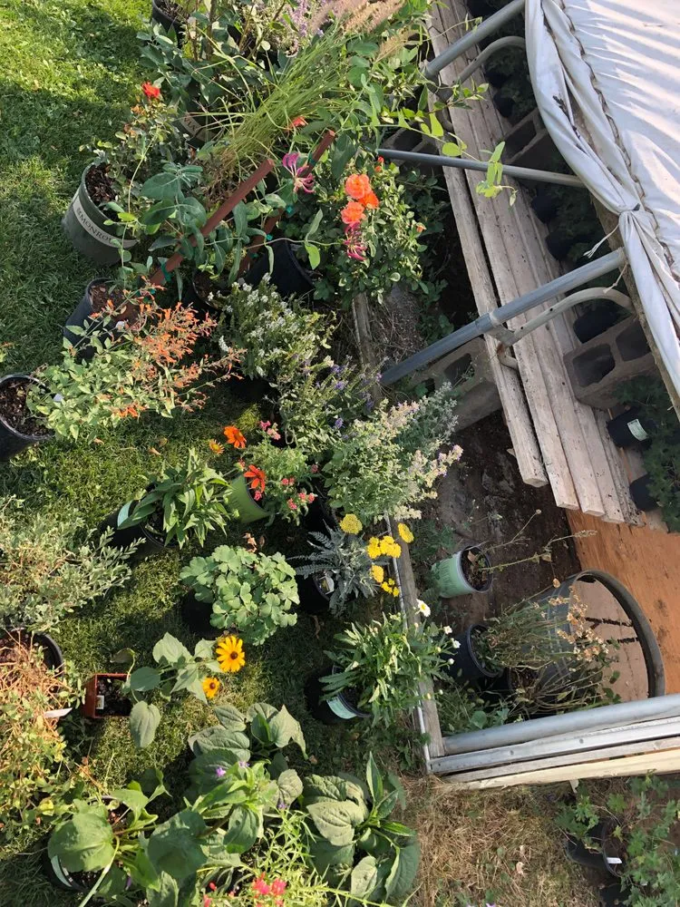 Custom garden landscaping in Denver, CO by Larkspur Landscaping