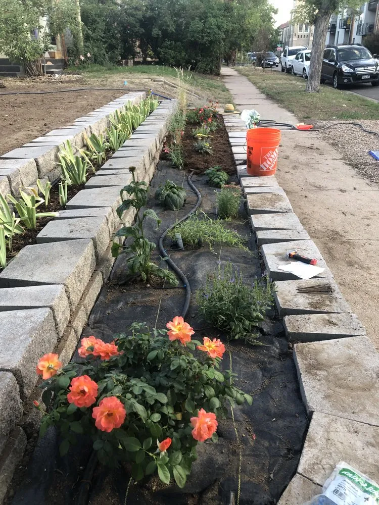 Expert yard cleanup service near you in Denver, CO by Larkspur Landscaping