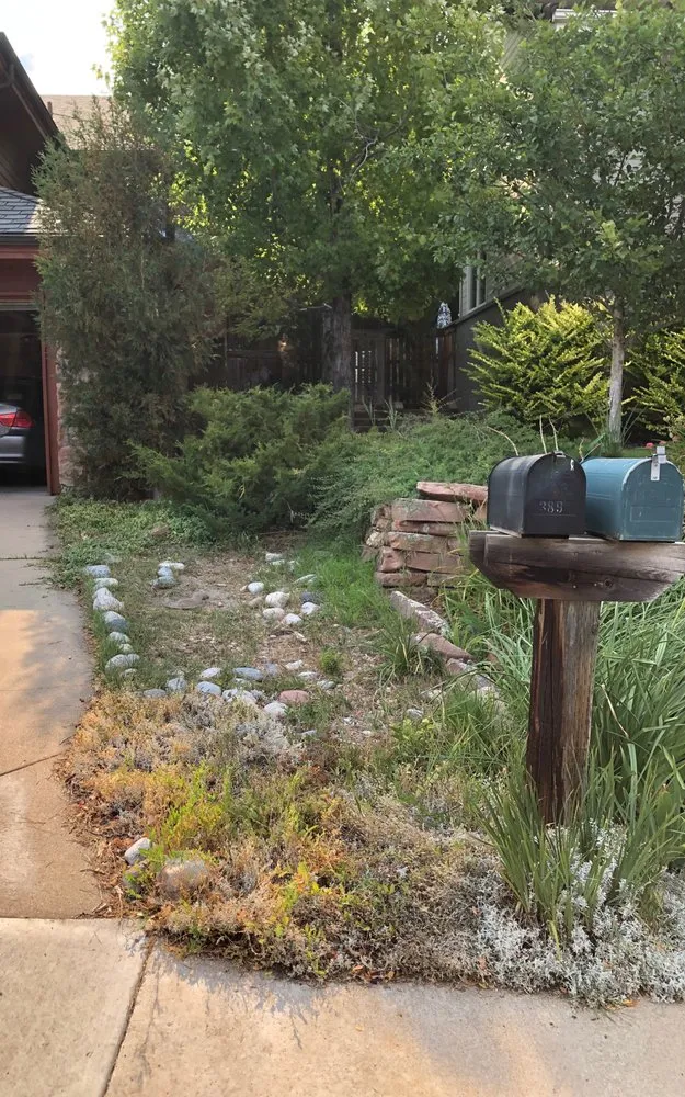 Expert landscape design for beautiful yards across Denver, CO - Larkspur Landscaping