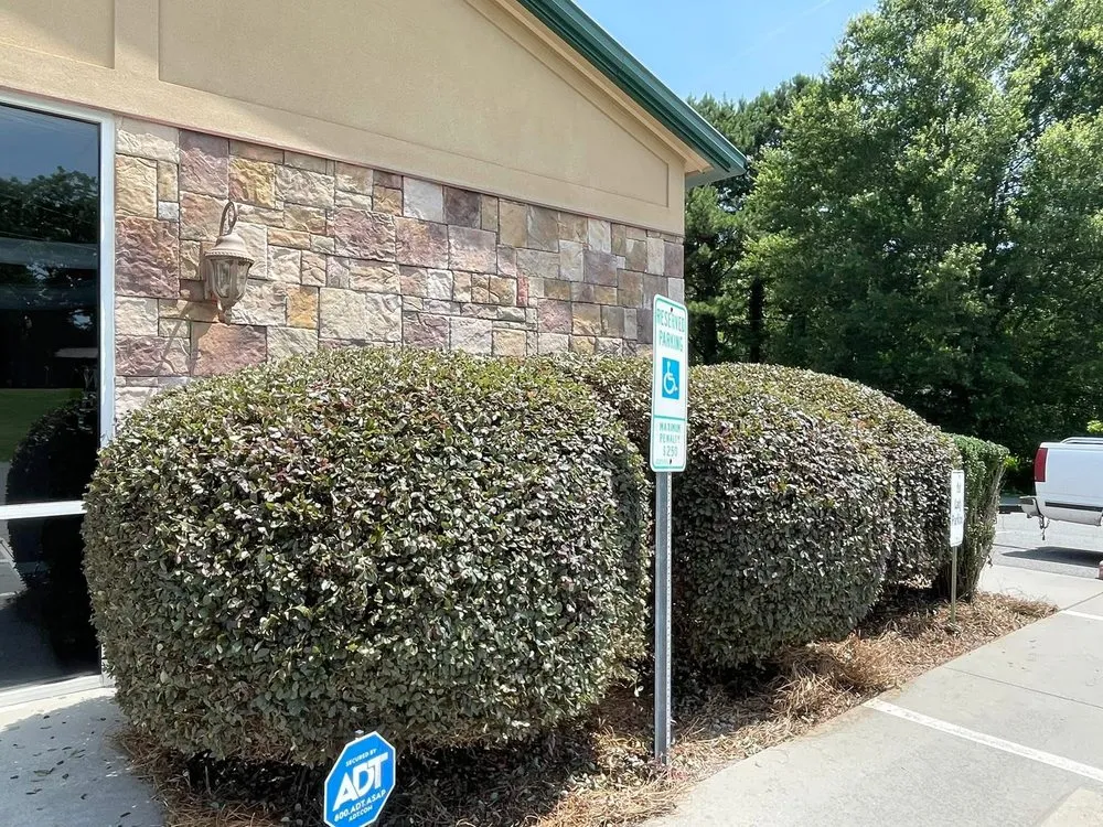 Top-rated residential landscaping with custom design across Clemmons, NC - LARKZ Monster Cleaning Service