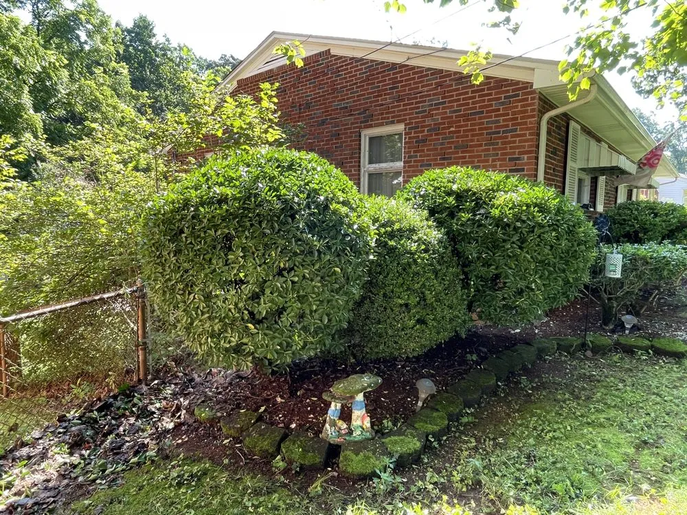 Affordable landscape installation in Clemmons, NC by LARKZ Monster Cleaning Service