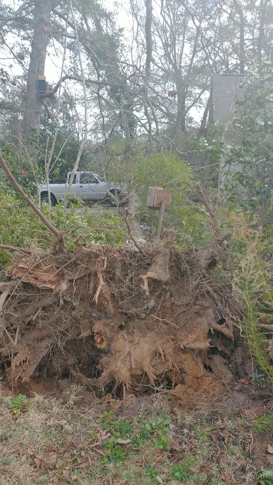 Custom garden landscaping with custom design in Pawleys Island, SC by LaRocco Home Services