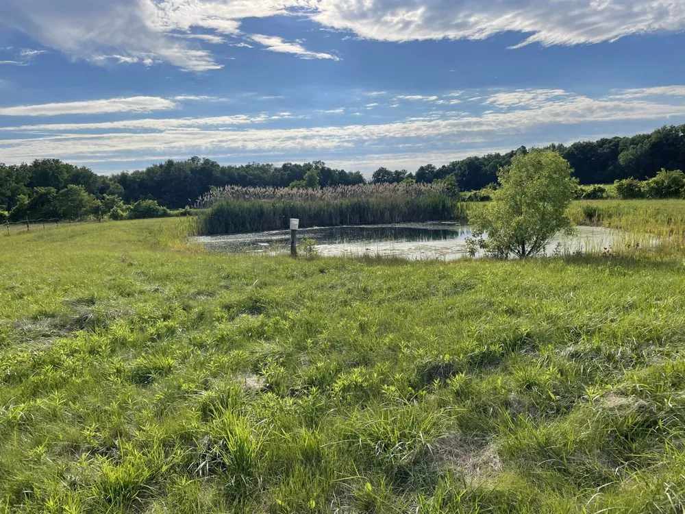 Reliable yard cleanup service in Milan, MI - LaRoy AG & Construction