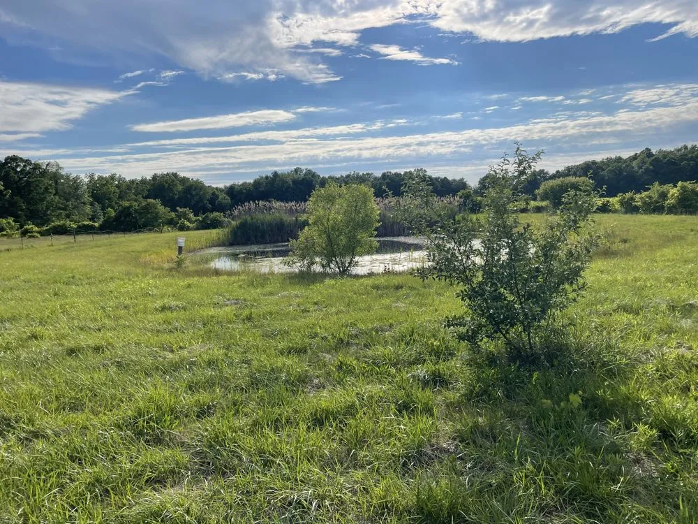 Professional landscape installation in Milan, MI by LaRoy AG & Construction
