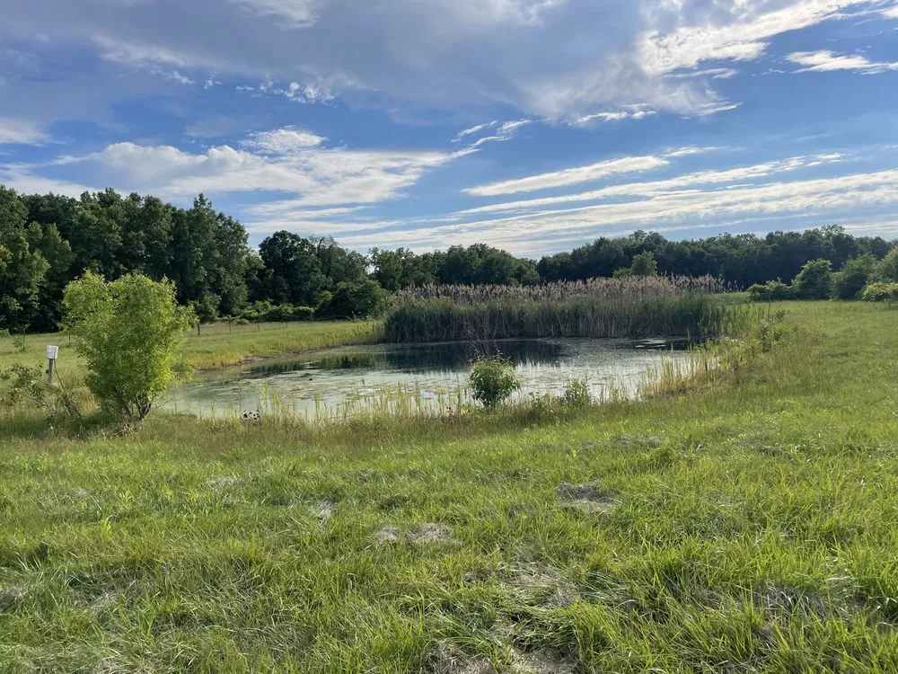 Affordable lawn mowing service near you across Milan, MI - LaRoy AG & Construction