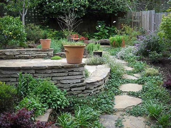 Top-rated lawn mowing service in San Francisco, CA by Larrance Landscapes