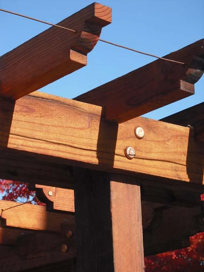 Expert yard cleanup service for beautiful yards across San Francisco, CA - Larrance Landscapes