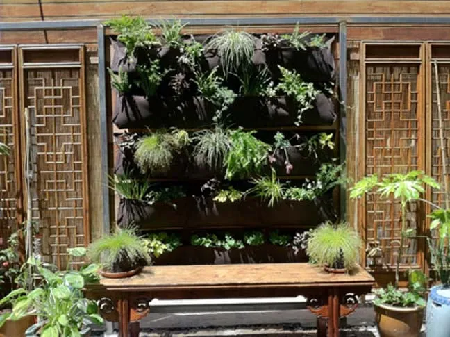 Custom outdoor landscaping in San Francisco, CA by Larrance Landscapes