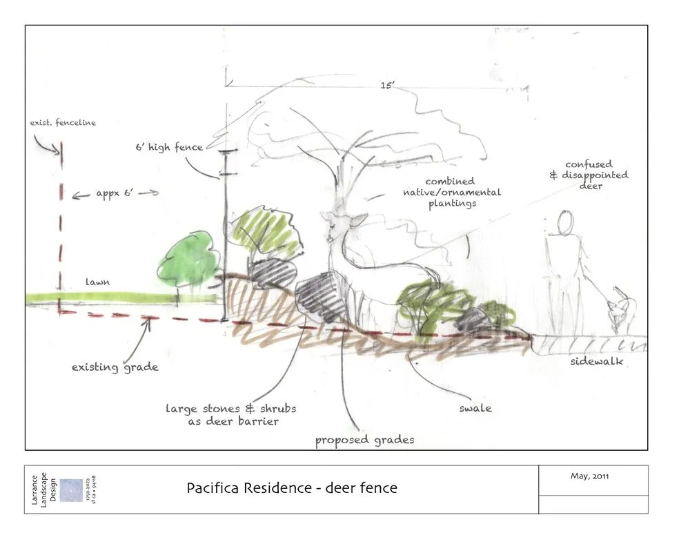 Expert yard cleanup service for residential properties across San Francisco, CA - Larrance Landscapes