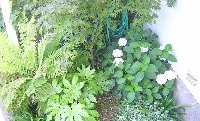 Expert landscape design in San Francisco, CA - Larrance Landscapes