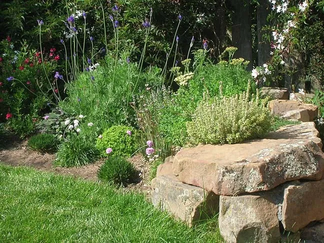 Expert garden landscaping in San Francisco, CA - Larrance Landscapes