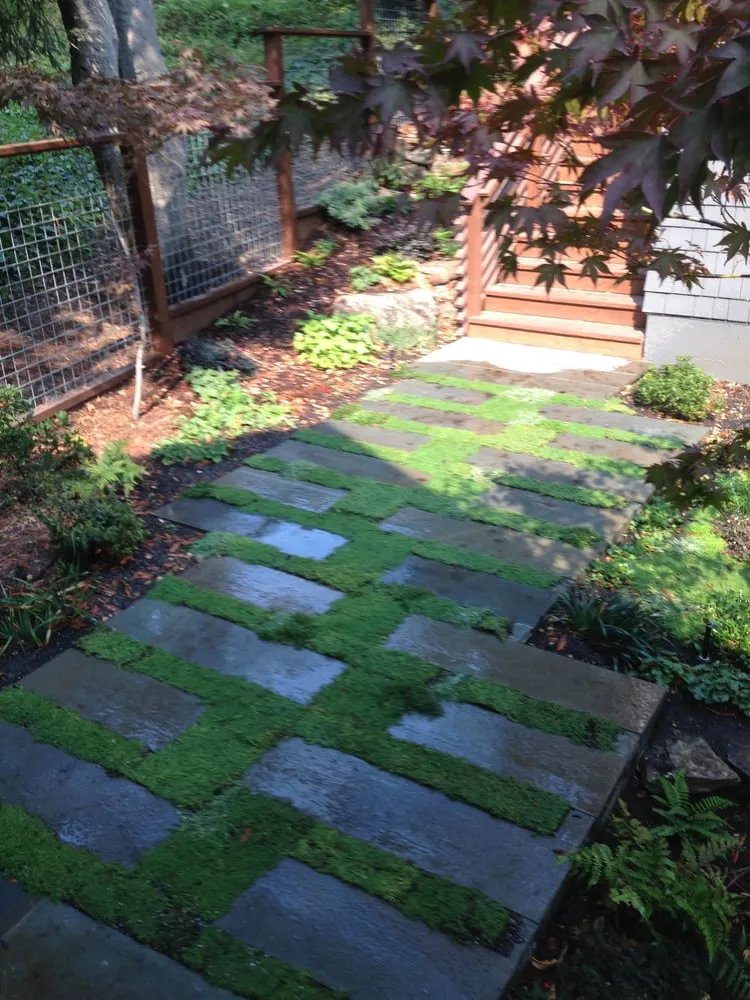 Top-rated lawn care service experts serving San Francisco, CA - Larrance Landscapes
