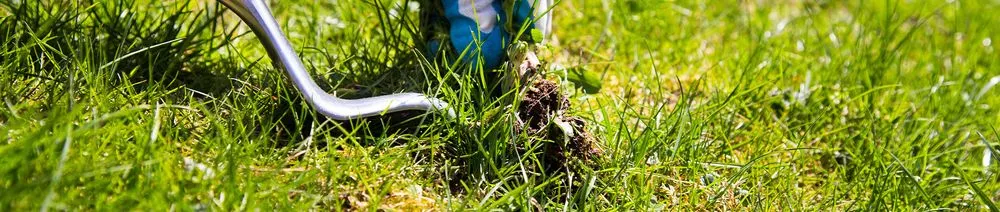 Trusted garden landscaping in Redding, CA - Larripa Boys