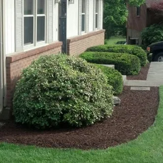 Expert lawn care service in Lexington, KY by Larry Colliver