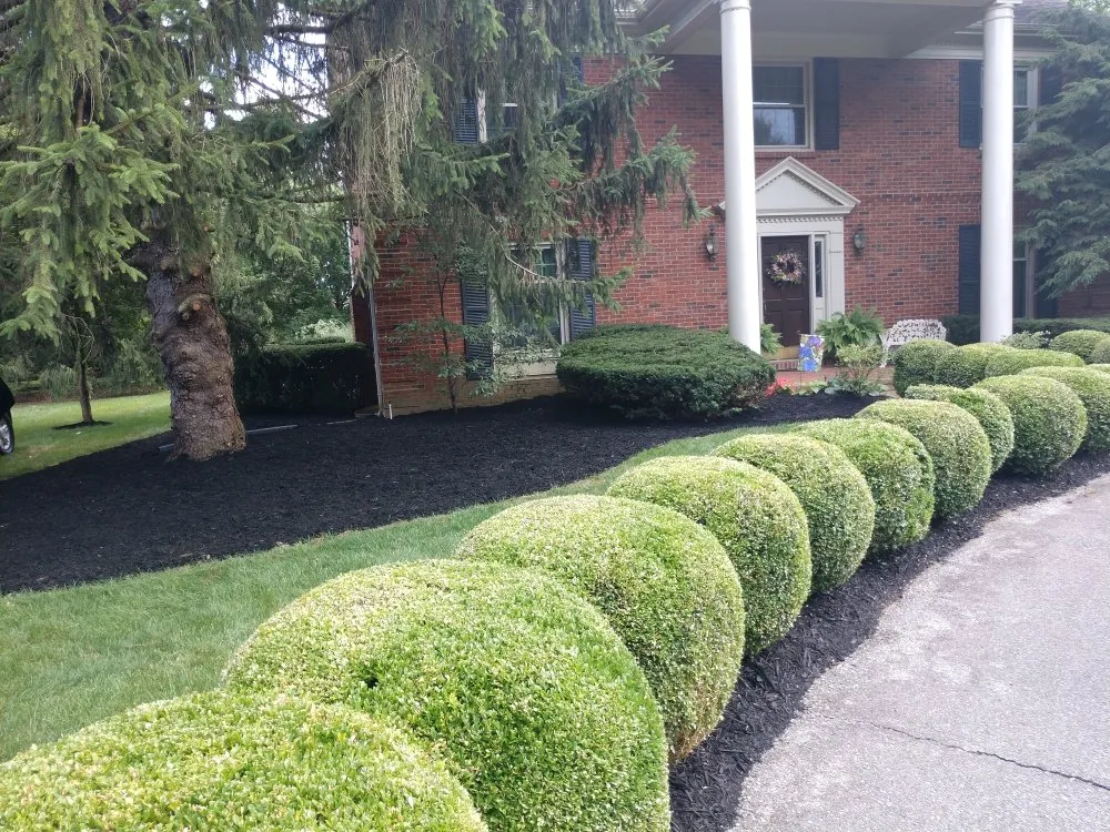 Reliable landscaping services for homes across Lexington, KY - Larry Colliver