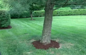 Affordable garden landscaping for residential properties in Lexington, KY by Larry Colliver