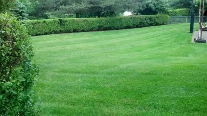 Trusted landscape design in Lexington, KY - Larry Colliver