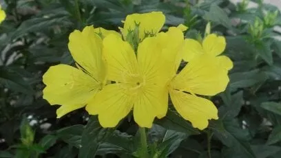 Reliable landscape installation experts serving Lexington, KY - Larry Colliver