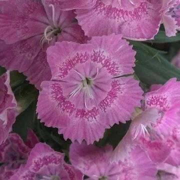 Reliable outdoor landscaping for outdoor upgrades in Lexington, KY by Larry Colliver