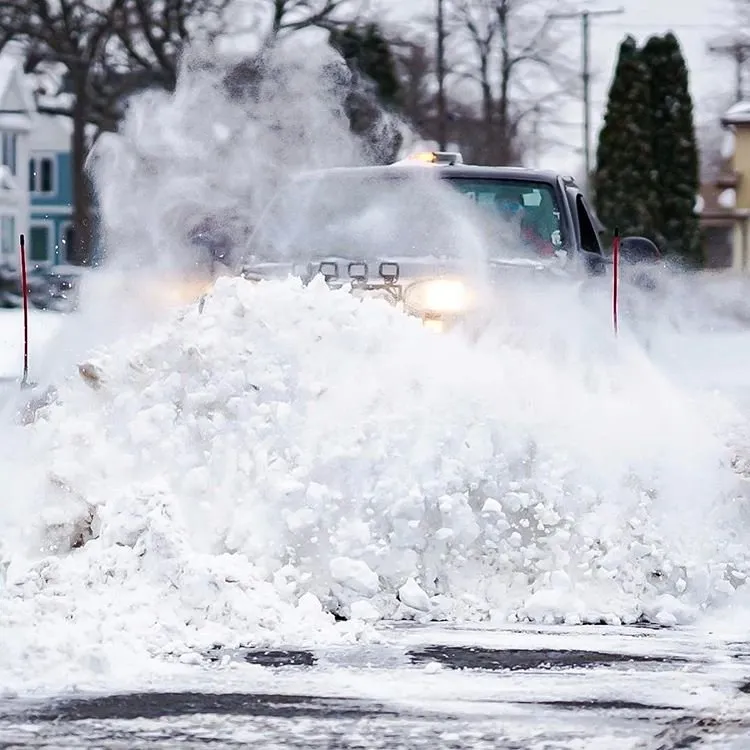 Top-rated landscape installation in Prince Frederick, MD - Larry Elliott