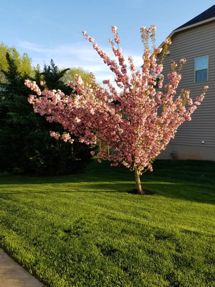 Local residential landscaping experts serving Culpeper, VA - Larry Lawn Service