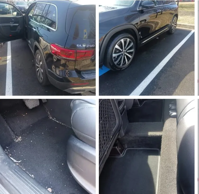 Top-rated yard maintenance in Baltimore, MD - Larry Love