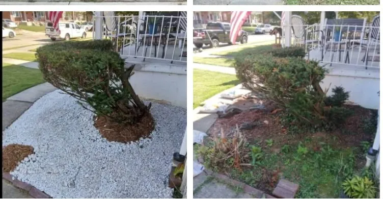 Trusted landscape installation near you in Baltimore, MD by Larry Love