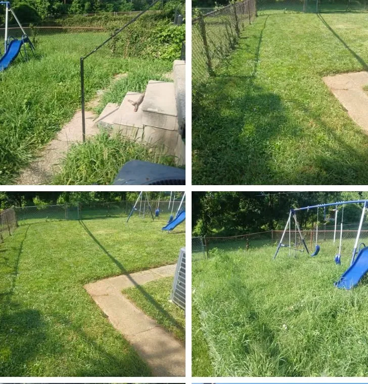 Expert yard cleanup service for year-round maintenance in Baltimore, MD by Larry Love