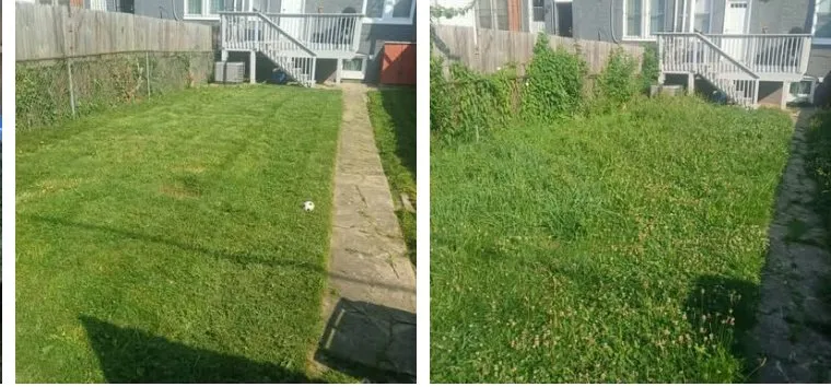 Reliable yard cleanup service in Baltimore, MD - Larry Love
