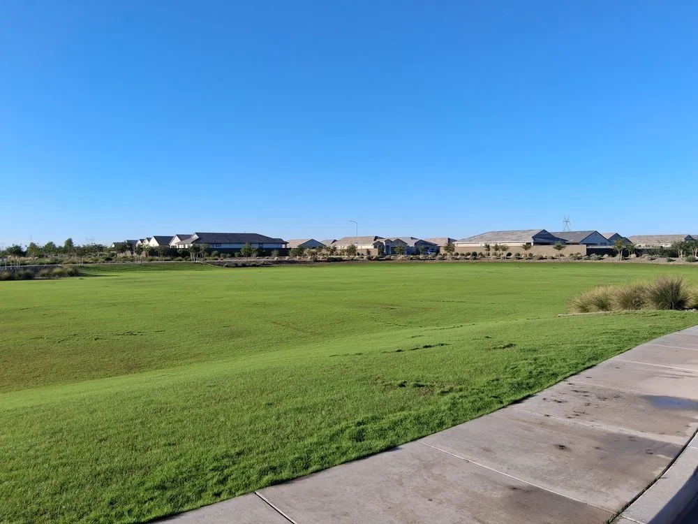 Expert garden landscaping in Mesa, AZ by Larry n Daves Landscaping