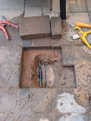 Larry n Daves Landscaping Logo